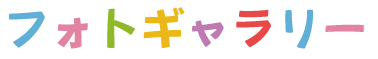 フォトギャラリー